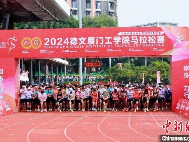 厦门马拉松2024年到底有多少坡