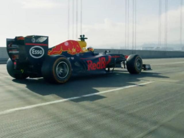 2009年f1车手总冠军